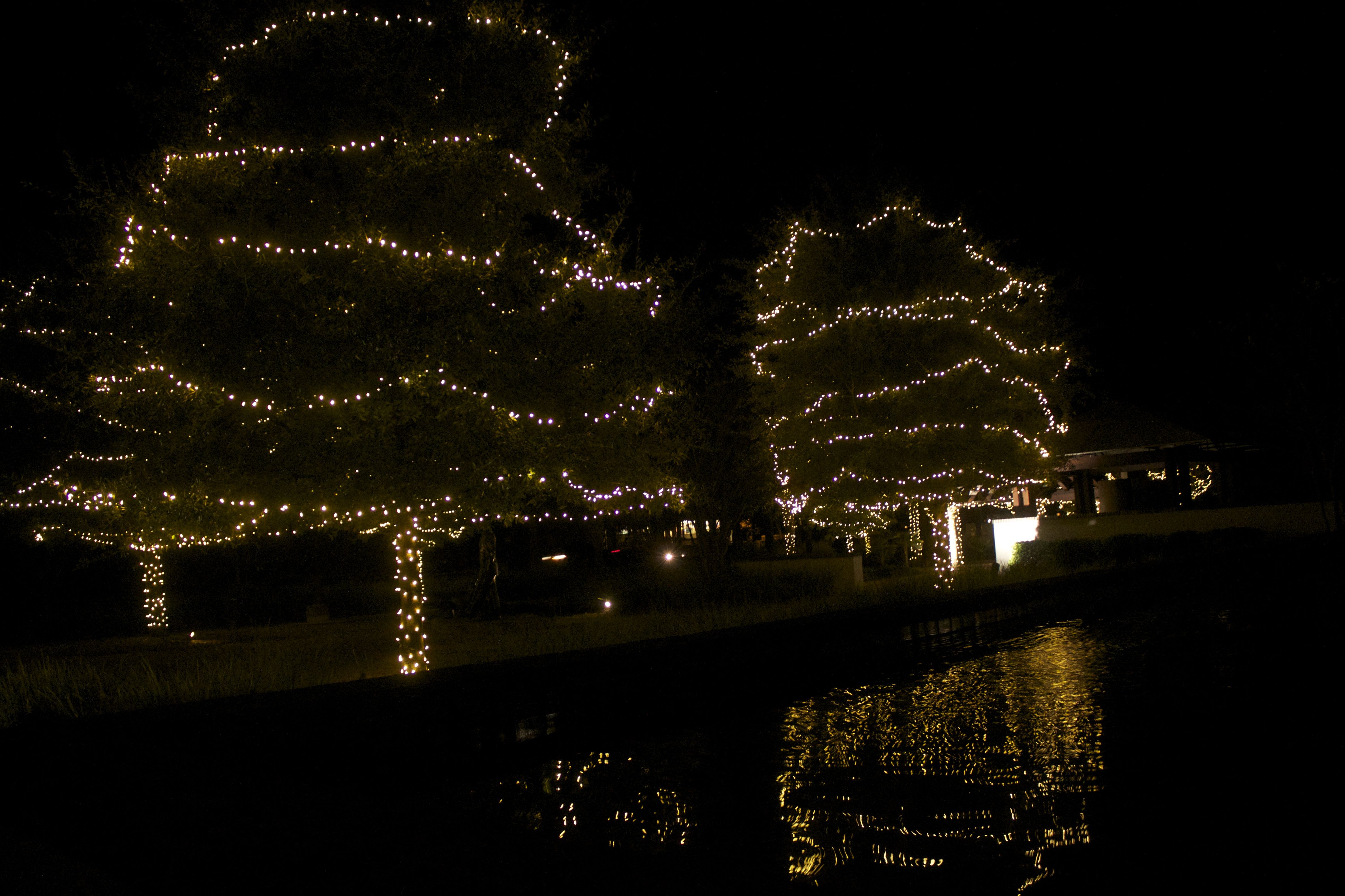 Where to find Christmas Lights on Hilton Head Island Hilton Head, SC