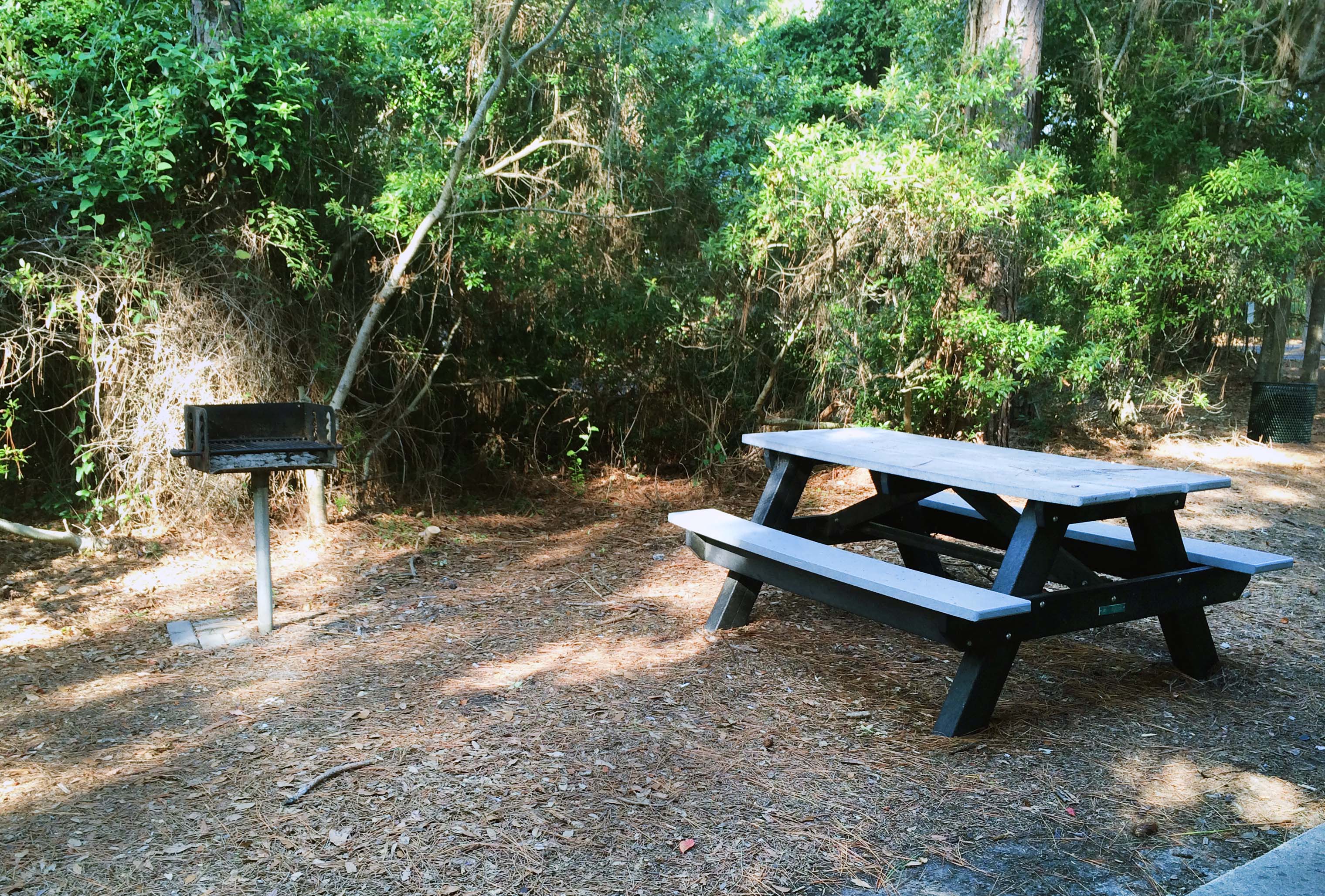 Driessen Beach Park Hilton Head, SC