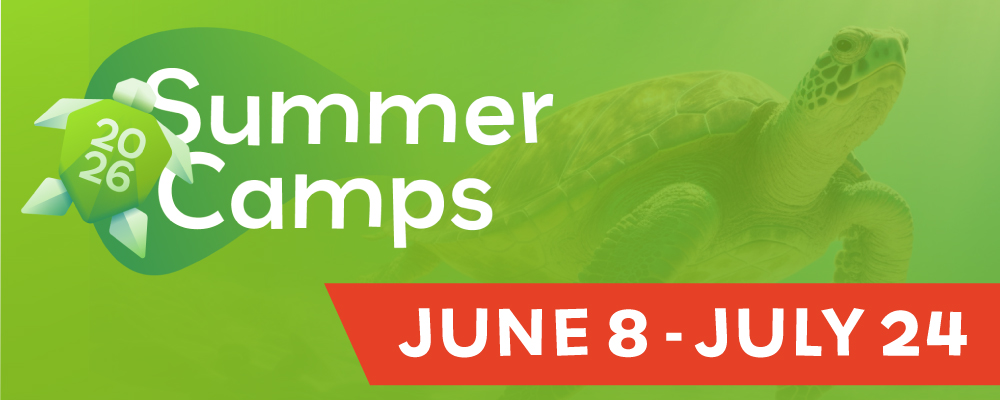 Arts Center of Coastal Carolina Summer Camps, Summer 2026