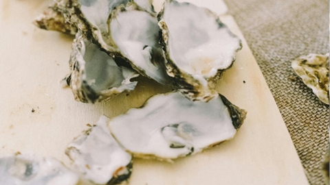 How to Shuck an Oyster. oyster shells