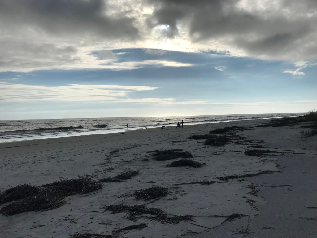 Discover the Magic of Hilton Head