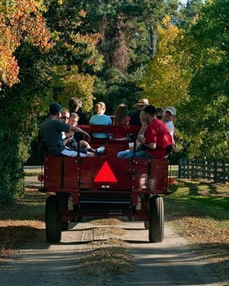Thanksgiving Wagon Ride
