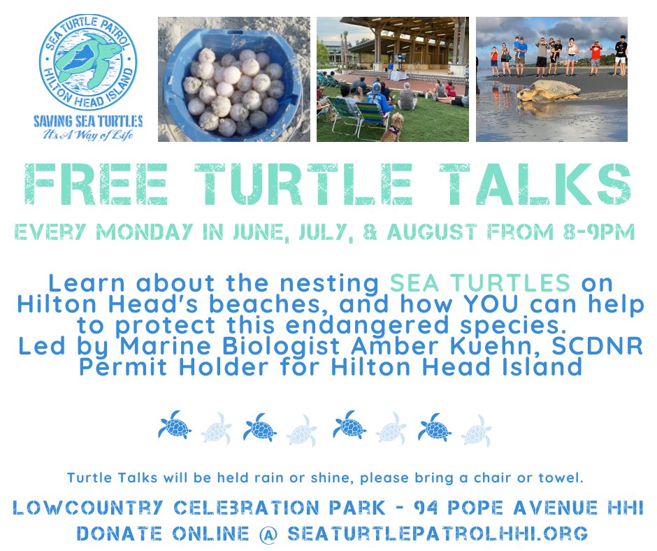 turtle talk flier
