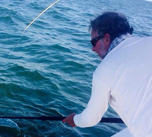 catch cobia