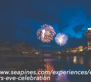 New Year’s Eve Hilton Head. fireworks over water