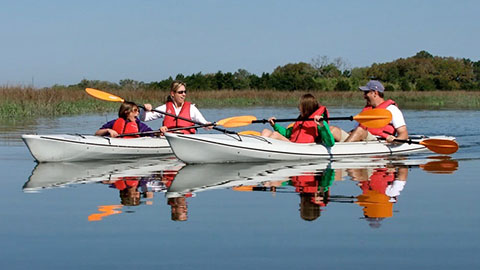 Guided Kayak Nature and Dolphin Tours