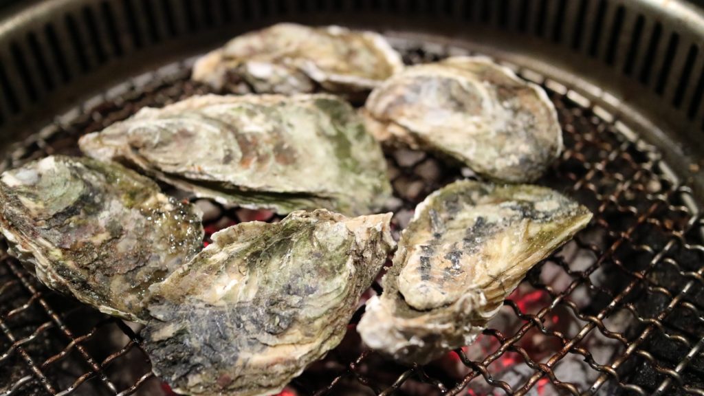 Oysters: a Lowcountry Delicacy