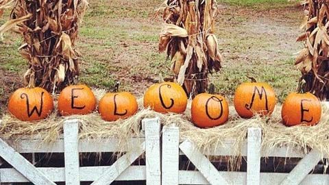 Pumpkin Patches to Visit. pumpkins spelling out the word welcome, sitting on a white fence