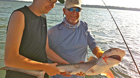 Shark The dark, sinister form appeared 20 yards from the boat, swimmin