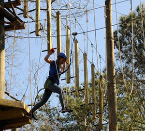 Aerial Adventure Hilton Head. a person on an aerial obstacle course